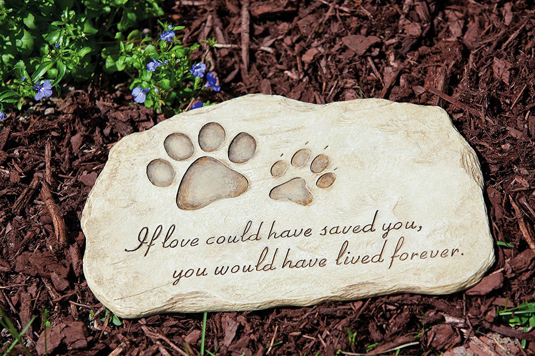 Pogrzeb Psa: Jak Przejść Przez Traumę Straty Ukochanego Zwierzaka