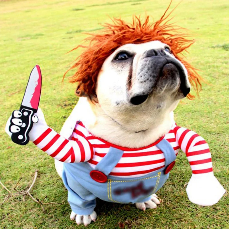 Funny costume for your dog - Pirate