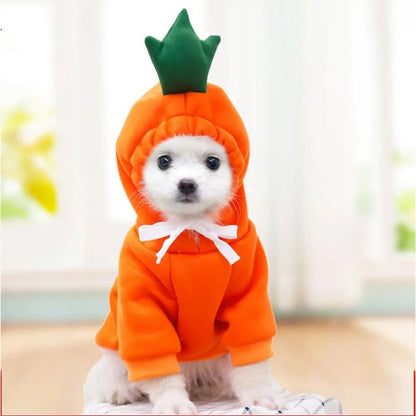 Funny Clothes for Your Pet