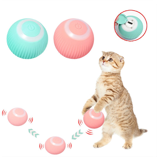 Smart cat ball 