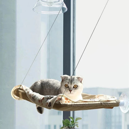 A cat hammock on the window 
